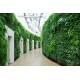 Artificial Indoor Vertical Garden